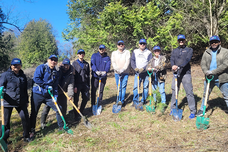 local tree planting event